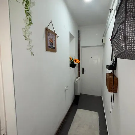 Bohemian Rhapsody Ground * 贝尔格莱德