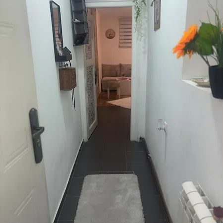 Bohemian Rhapsody Ground Belgrad