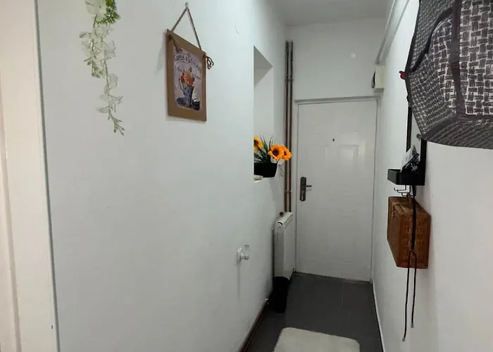 Bohemian Rhapsody Ground * Belgrad