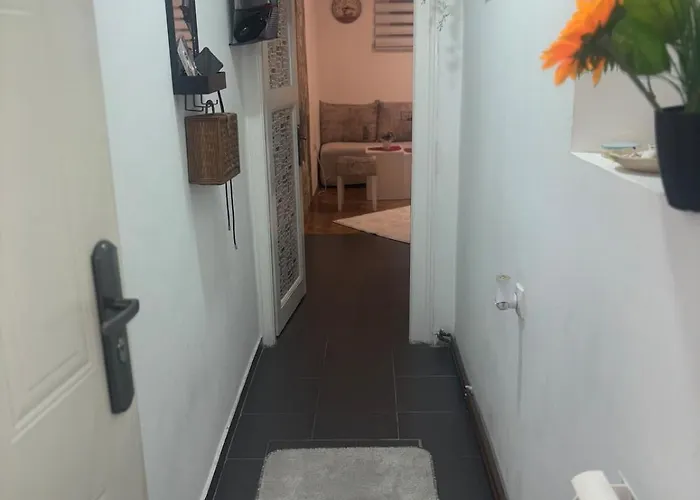 Bohemian Rhapsody Ground Belgrad